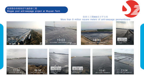Biogas pool anti-seepage project at Muyuan Farm