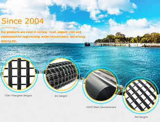 China Dengwanyi Co., Ltd Company Profile