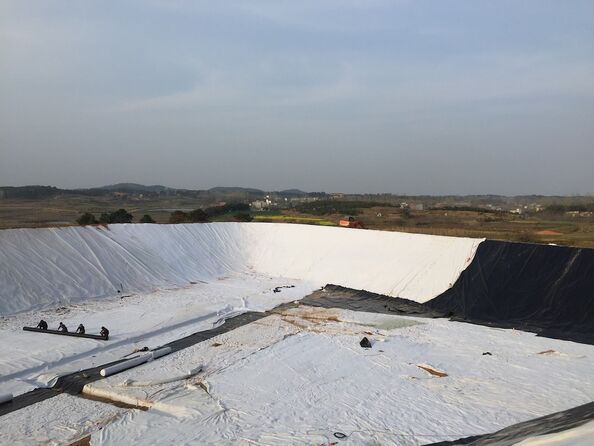 quality Polyester Geogrid factory