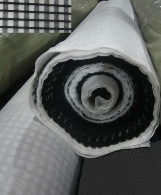 Giá tốt. Độ bền cao Bi-axial Composite Geogrid Geocomposite Mesh Reinforcement Đất mềm trực tuyến