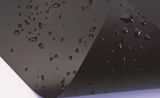 Ein guter Preis. High-Density Polyethylene High Strength Chemical Corrosion Resistance Construction Durable Plastic HDPE Geomembrane Online