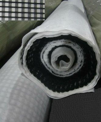 Good price High Strength Biaxial Composite Geogrid Geocomposite Mesh Reinforcement Soft Soil online