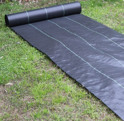 Good price Black Color Polypropylene Woven Geotextile 500Gram For Road Reinforcement online