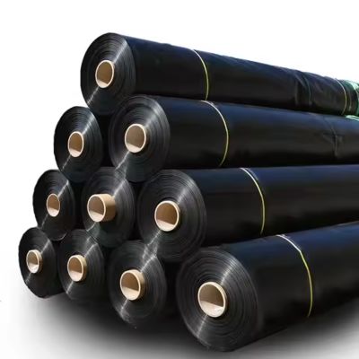 좋은 가격 Virgin 새로운 0.75mm 30Mil 매끄러운 검정 양식 HDPE Geomembrane 강선 HDPE 플라스틱 필름 목록 연못 탱크 안대기 온라인으로